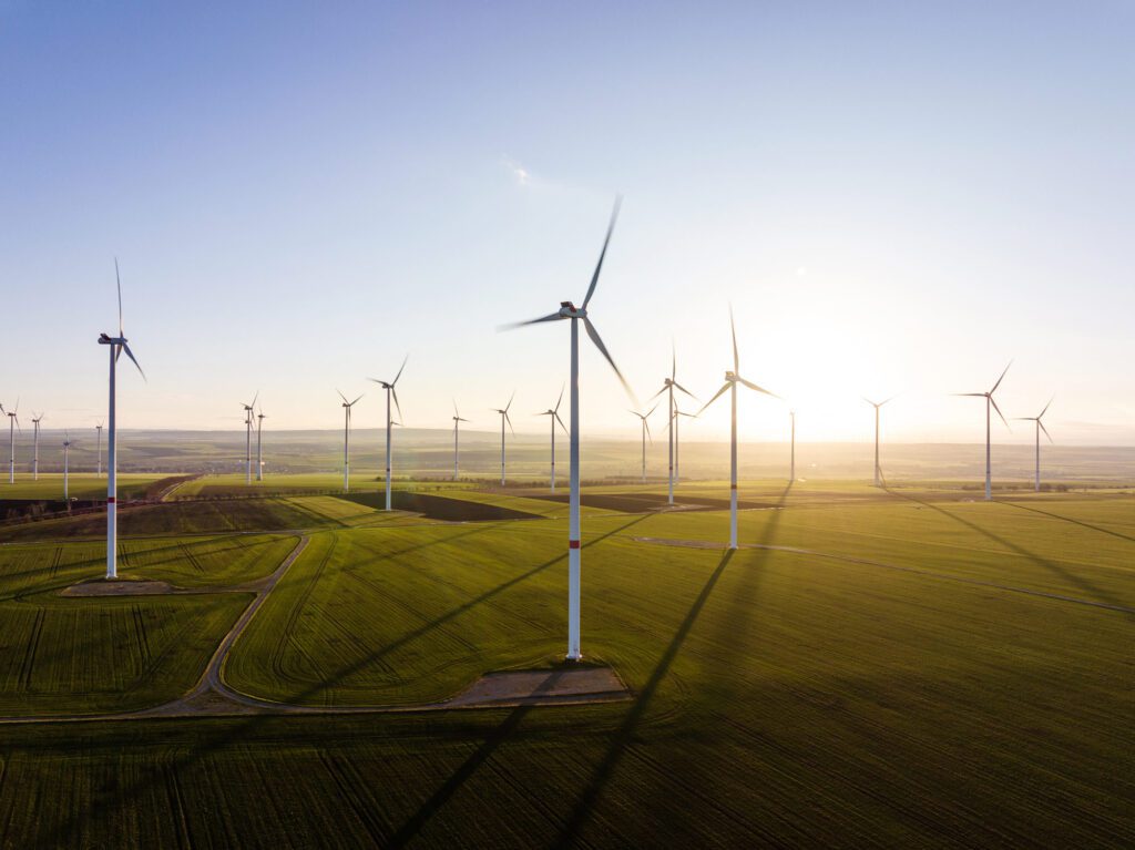 greensteelaustralia-1454127788 greensteel australia 100% Australian